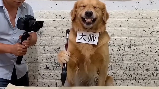 好笑