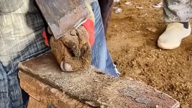 快乐有时候就是这么简单#搞笑视频#欢乐趣事#户外
