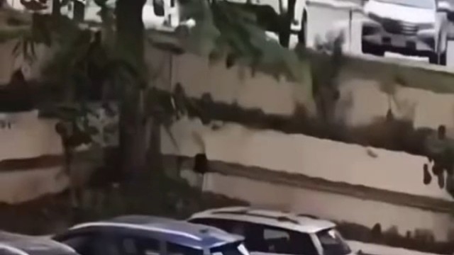 快乐有时候就是这么简单#搞笑视频#欢乐趣事#户外