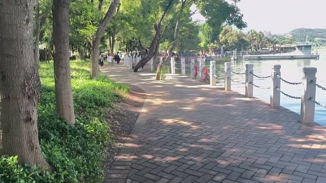 哈喽大家好呀   我是宝宝  26574490  真的不打算来找我聊聊天嘛