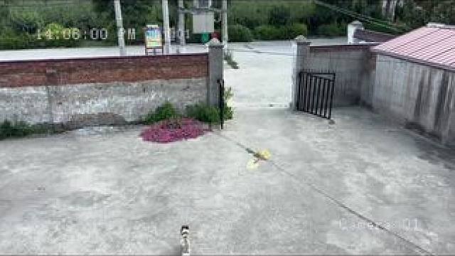 爷爷在网上花9.9买的破监控……万万没想到 #