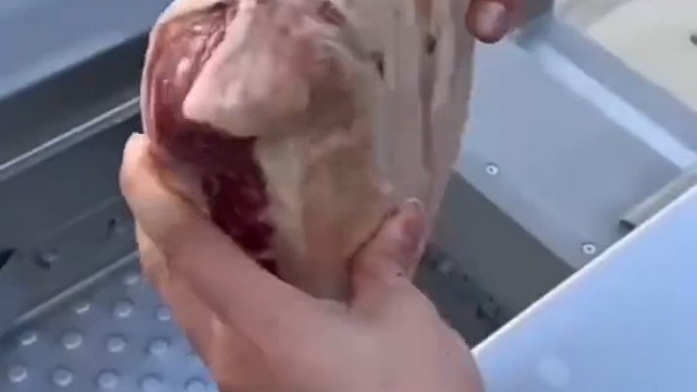 快乐有时候就是这么简单#搞笑视频#欢乐趣事#户外