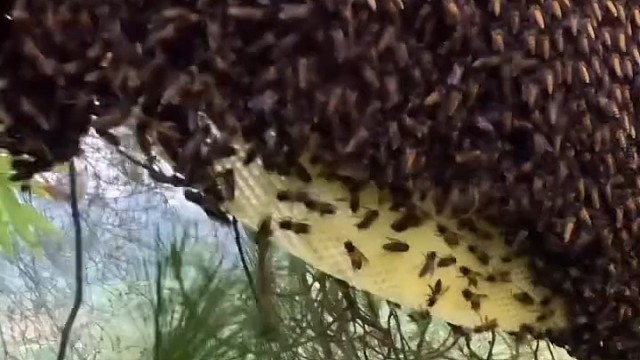 快乐有时候就是这么简单#搞笑视频#欢乐趣事#户外