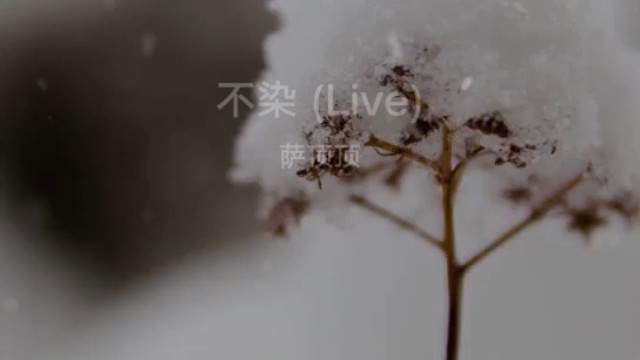 喜欢又不敢去听