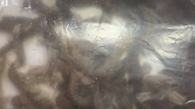 海鲜一大堆求消灭。