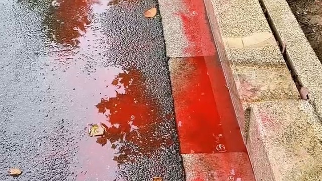 快乐有时候就是这么简单#搞笑视频#欢乐趣事#户外