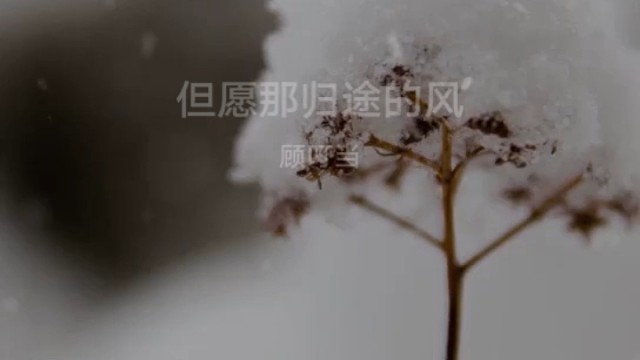 拼剪视频