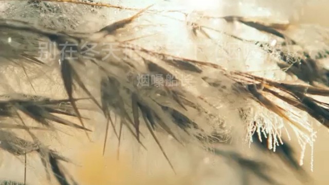 又挖到宝了