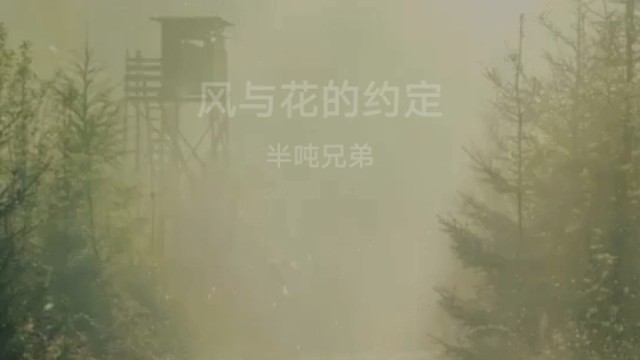 风与花的约定