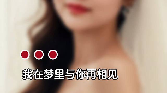 我在梦里与你再相见