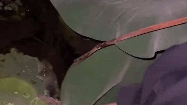 看着不错