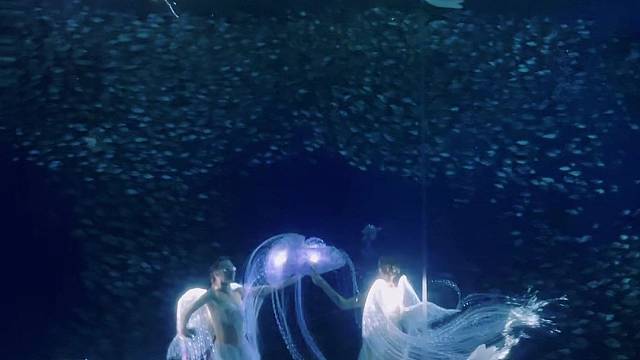 暑期来合肥海洋世界清凉一夏