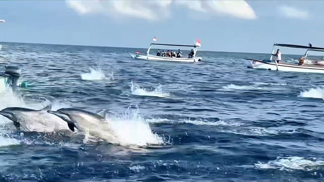 那片海