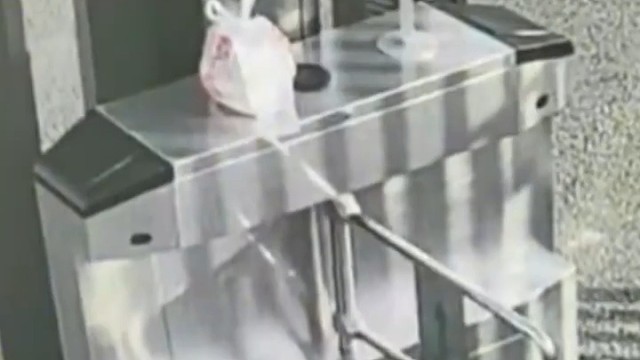 流浪猫偷了外卖以后立马跑路，灵活的身手，一看就不是第一回了，网友：偷外卖的简直不是人