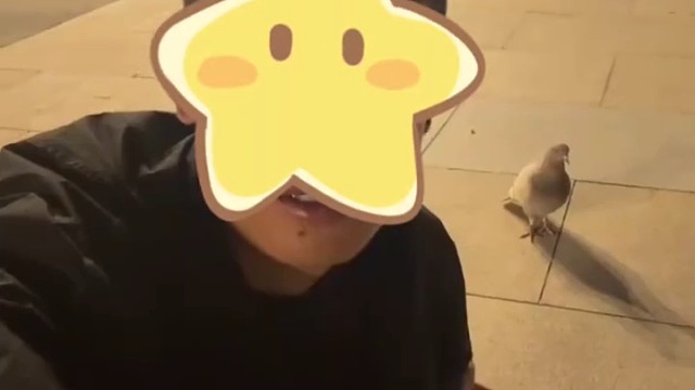 儿子因病去世，爸爸身边飞来一只鸽子久久不肯离去，爸爸：儿子是你来看我了吗？爸爸好想你