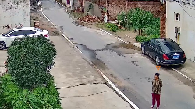 宠物狗突然窜到马路上，被路过车辆碾压，司机车也不停加油门跑了1