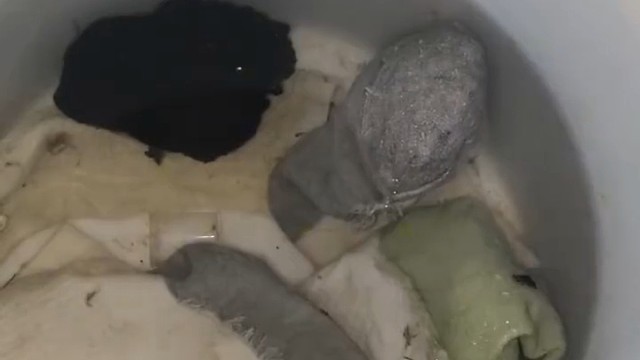 丈夫发视频吐槽妻子 脏袜子泡在水里都长虫子了也不洗 丈夫：她不上班一天在家玩游戏
饭不做家务也不做