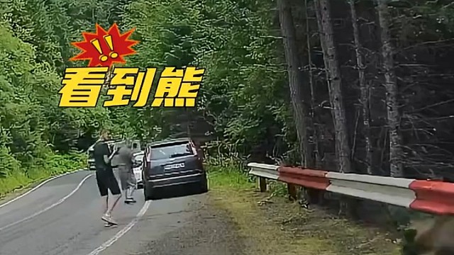男子户外遇到野生熊，吓得站在原地一动不敢动，网友：到底该怎样做才是正确的