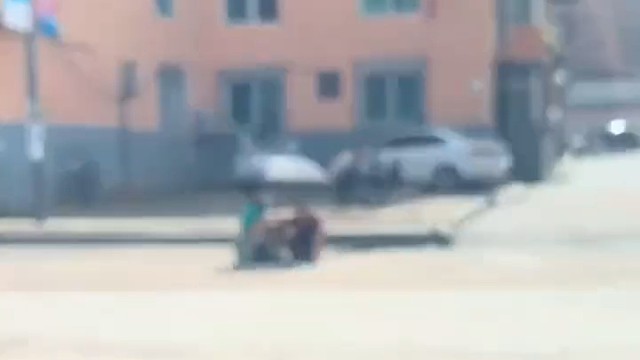 祖孙俩烈日下在路边摆摊，好心男子全买下让两人能早点回家1