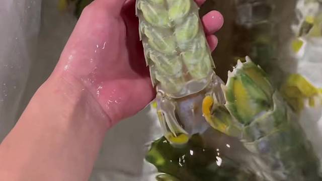 富贵虾今天就这几只。黄油蟹是主菜。