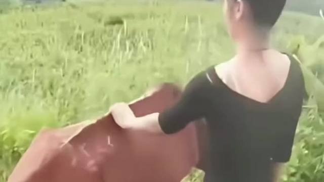 好瘦的马