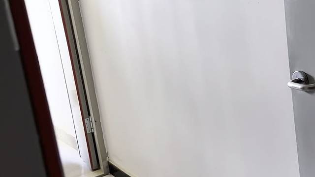茉莉花茶