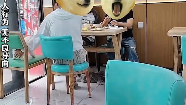 狗主人将自己狗狗带进早餐店，甚至将狗放在凳子上喂食，网友:文明养狗怎么就这么难1