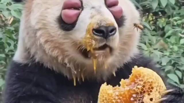 我的眼睛去哪了