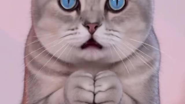 喵喵喵～