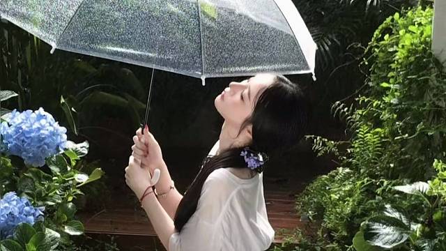 倘若懂的人懂得，淡茶一杯也有情
