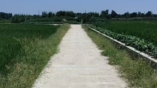 一个人在农村老家全职DNF 搬砖生活日常