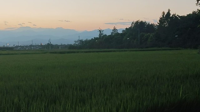 一个人在农村老家全职DNF 搬砖生活日常