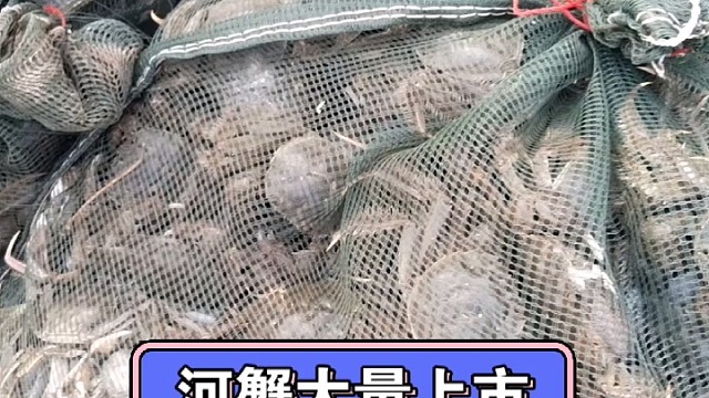 河蟹大量上市