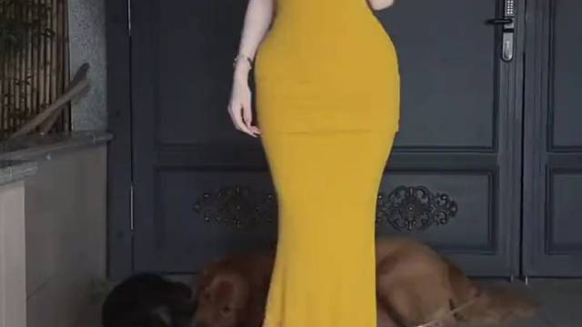 狗都打起来了