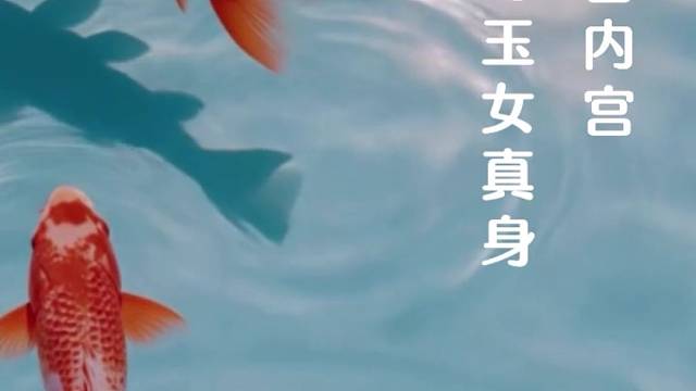 顺顺利利