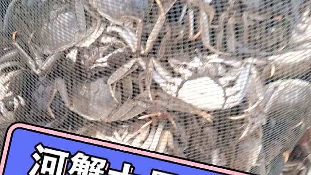 河蟹大量上市