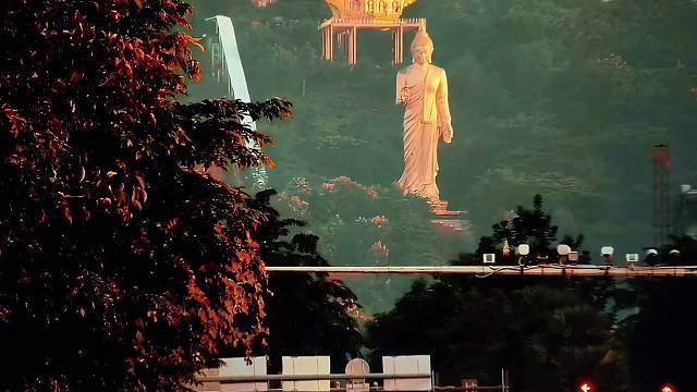 雨林