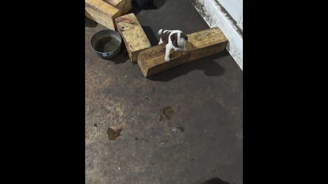 可以