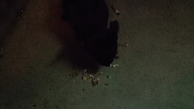 黑喵