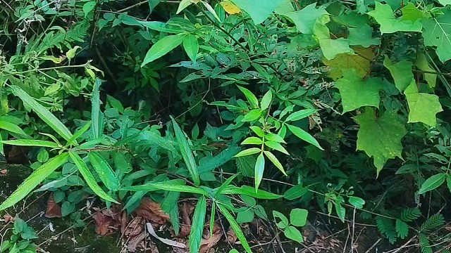 搬砖闲时休息