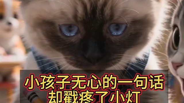 小孩子无心的一句话，却戳疼了小灯