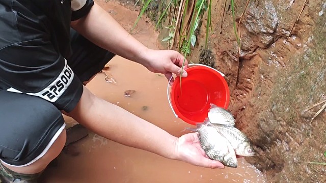 水沟抓鱼