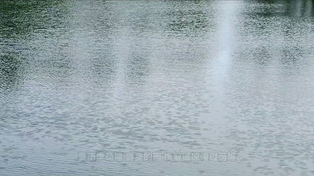 夏雨