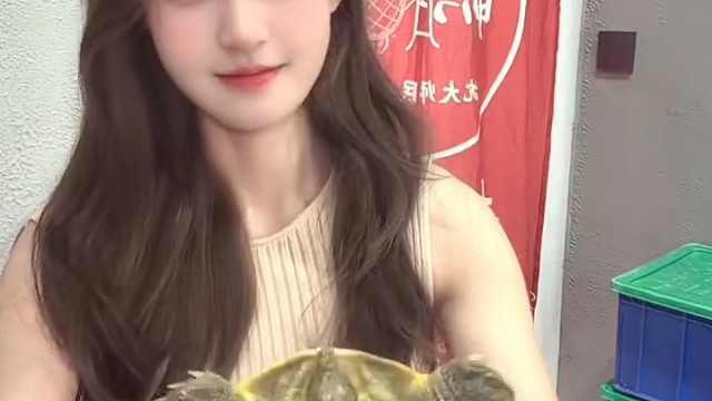 成年人的疲惫,都藏在:仅自己可见里#超大甲鱼 #甲鱼真香 #超大大甲鱼
