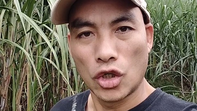 我的家乡
