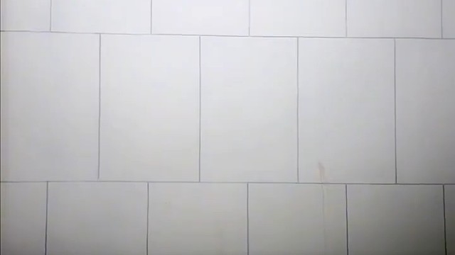 新人多多关照