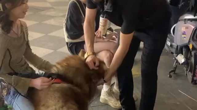 在中国的巴基斯坦人
