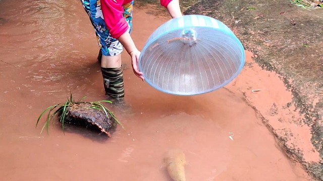 挑战不一样的工具抓鱼