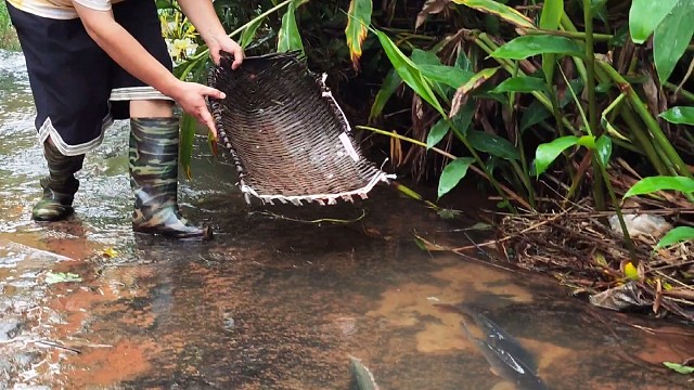 抓涨水鱼