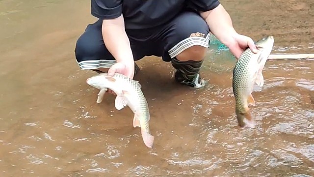 抓涨水鱼
